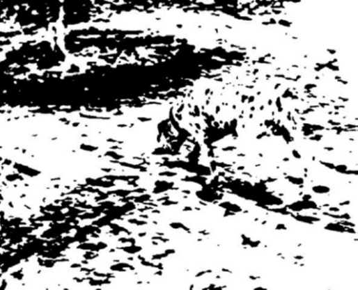 The Influence of Verbal Guidance on Visual Search: Isolating Top-Down Tuning from Target History&nbsp;Effects